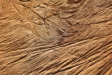 Soyut Ahşap Doku Makro Çekimi