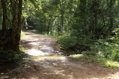 Kırsal Yol Yerden Geçiyor