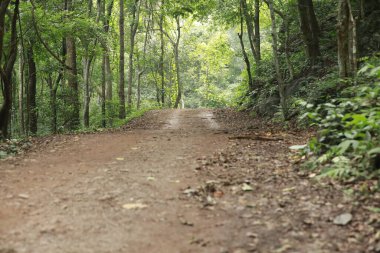 Kırsal Yol Yerden Geçiyor