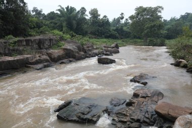 Ormandaki yosunlu kayaların arasından akan su