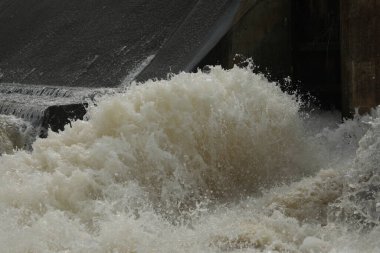Water Barajı Rajamundry Andhra Pradesh Hindistan