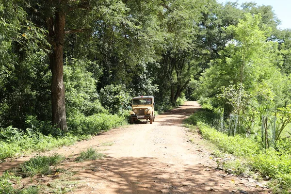 Jeep Policía Camino Rural —  Fotos de Stock