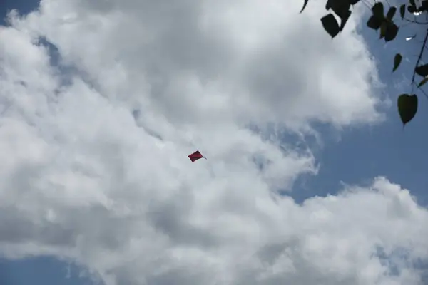 一匹の凧揚げ — ストック写真