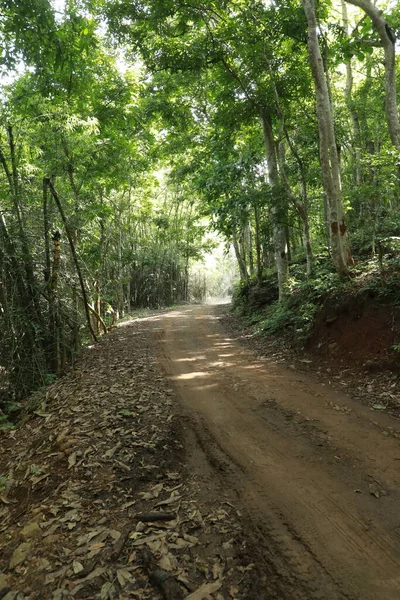 Kırsal Yol Yerden Geçiyor