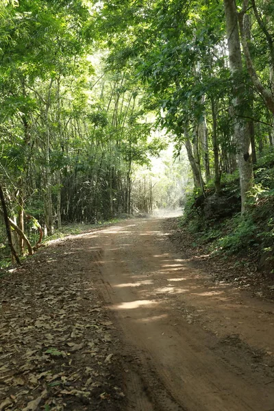 Caminho Estrada Rural Através Solo — Fotografia de Stock