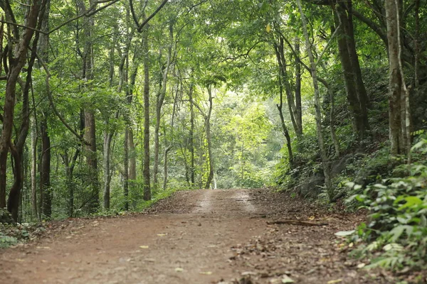 Kırsal Yol Yerden Geçiyor