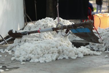 Hintli Erkekler Sopa Haydarabad ile pamuğu dövüyor 22 Ağustos 2022