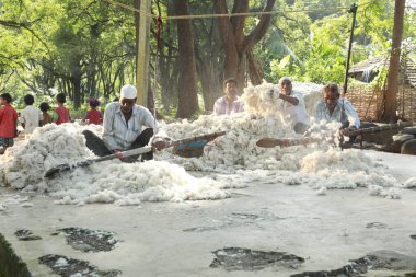 Hintli Erkekler Sopa Haydarabad ile pamuğu dövüyor 22 Ağustos 2022