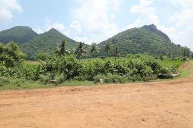 Hasarlı Kırsal Yol Dokusu