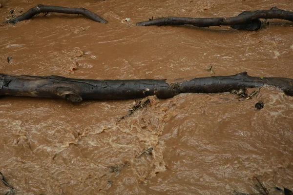 Agua Lluvia Corriendo Bosque India — Foto de Stock