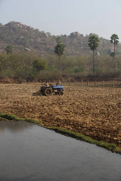 Agricultor Campos Hyderabad India Ago 2022 —  Fotos de Stock