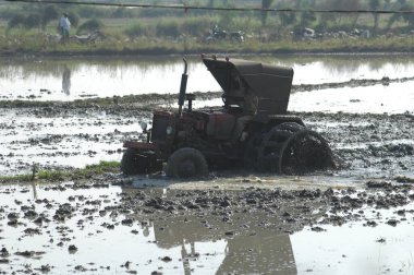 Hyderabad tarlasında çiftçi Hindistan 25 Ağustos 2022
