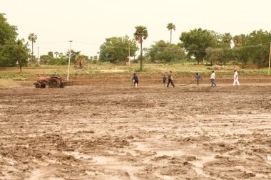 Hyderabad tarlasında çiftçi Hindistan 25 Ağustos 2022