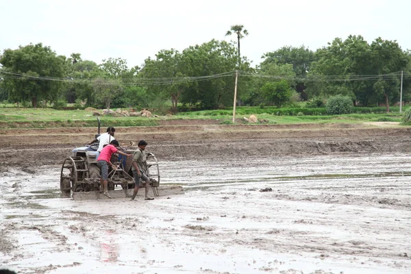 Agriculteur Fields Hyderabad Inde Août 2022 — Photo