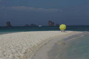 10 Ekim 2022 Hyderabad Hindistan Erkek Modeli 'nin arka görüntüsü