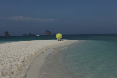 10 Ekim 2022 Hyderabad Hindistan Erkek Modeli 'nin arka görüntüsü