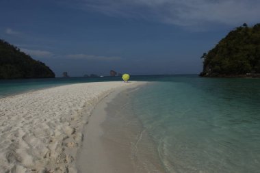 10 Ekim 2022 Hyderabad Hindistan Erkek Modeli 'nin arka görüntüsü