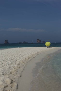 10 Ekim 2022 Hyderabad Hindistan Erkek Modeli 'nin arka görüntüsü