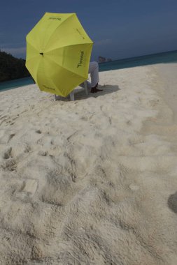 10 Ekim 2022 Hyderabad Hindistan Erkek Modeli 'nin arka görüntüsü