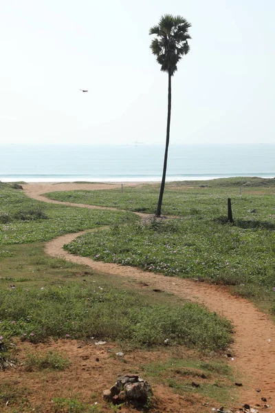 Aşık Siluet Beach — Stok fotoğraf