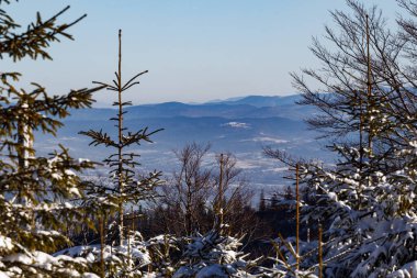 Winter in the mountains - Beskid lski