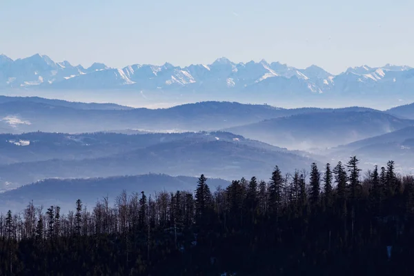 Winter View Slovak Polish Tatra Mountains Beskid Slaski Mountains — Fotografia de Stock