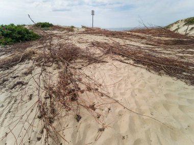 Rusya sınırına yakın Polonya Kıyısı - Baltık Denizi