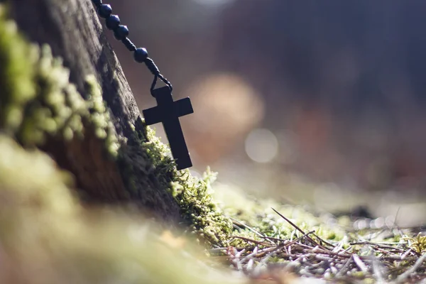 Rosenkransen Skogen — Stockfoto