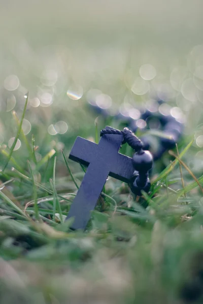 Black Rosary Grass Dew — Fotografia de Stock