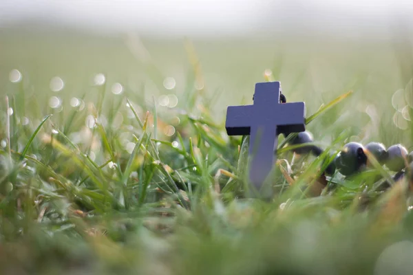 Black Rosary Grass Dew — Fotografia de Stock