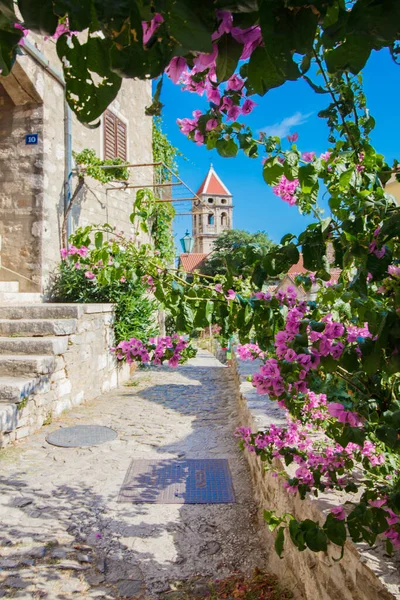 Panorama City Omis Dalmatia Croatia — Foto de Stock