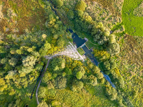 Vista Floresta Campos Drone — Fotografia de Stock