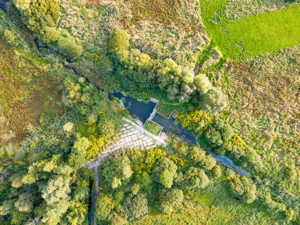 View of the forest and fields from the drone