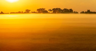 Güneşli puslu gün doğumu 