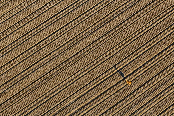 Vista Aérea Terras Agrícolas Partir Balão — Fotografia de Stock