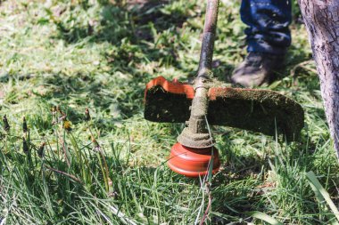 Bir bahçe çim biçme makinesiyle çim biçiyorum. Çim biçme makinesi çimleri biçiyor. Seçici odak.
