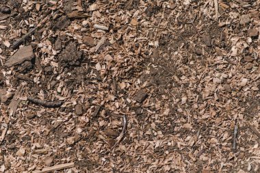 Yerde odun parçaları var. Talaş arkaplan resmi ya da doku. Ahşap atığı