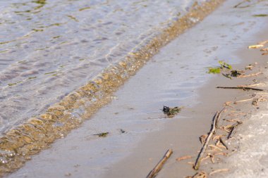 Kumlu sahilde denizin yumuşak dalgası. Gün batımında kumlu sahilde yansımayla dalgalanan yumuşak dalgalarla sörfü kapatın. Doğa arkaplan seçici odak