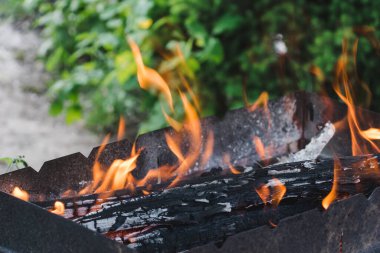 Yanan odunları olan eski ızgara ızgara. Metal bir kutudan ateş açın. Doğal bir parkta açık havada atıştırmak. Kütükler ateş yakar. Şenlik ateşi.