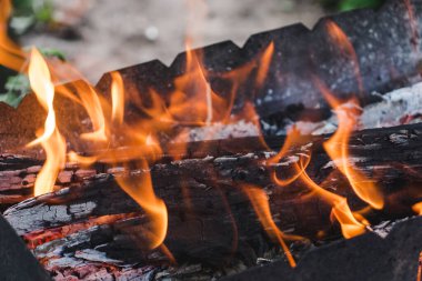 Yanan odunları olan eski ızgara ızgara. Metal bir kutudan ateş açın. Doğal bir parkta açık havada atıştırmak. Kütükler ateş yakar. Şenlik ateşi.