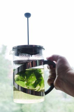 El, pencerenin önünde taze nane yaprağından yapılmış yeşil çayla bir Fransız makinesini tutuyor. Fotokopi alanı olan sıcak nane çayı.