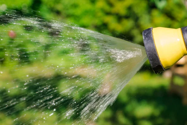 Watering garden flowers with hose. Dishes and drops of water from a garden hose closeup. Spraying water for irrigation