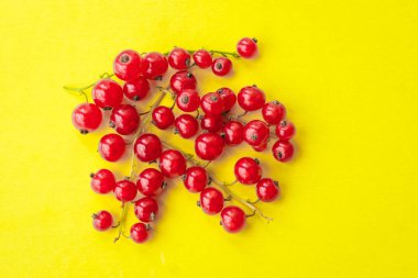 Sprigs of red currant on yellow background. Fresh bright currant. Sweet juicy currant, organic berries harvest - healthy eating and food concept.
