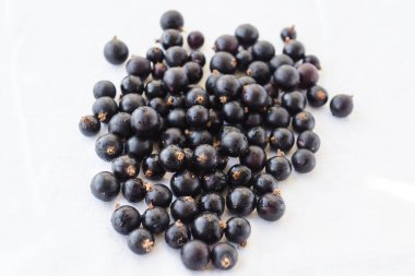 Fresh black berries with water drops closeup. Blackcurrants isolated on a white background. Black currant with copy space for text. Currant organic berries harvest - healthy eating and food concept