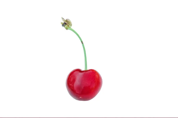 Single Sweet Cherry Stem White Ripe Fresh Red Sweet Cherry — Stock fotografie