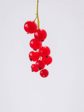 Sprig of red currant on white background. Vertical. Fresh bright currant. Sweet juicy currant, organic berries harvest - healthy eating and food concept.