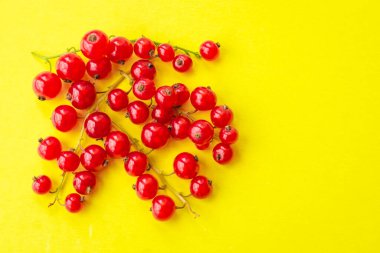 Sprigs of red currant on yellow background. Fresh bright currant. Sweet juicy currant, organic berries harvest - healthy eating and food concept.