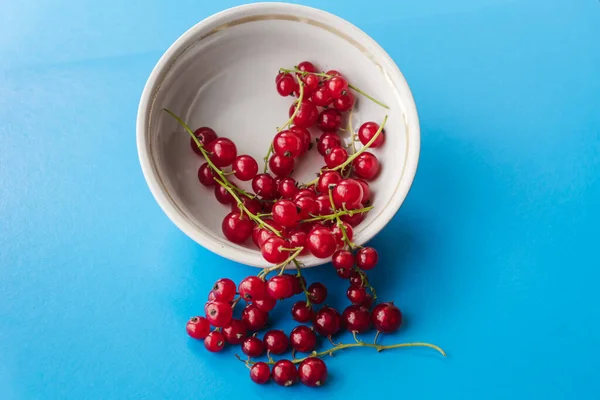 Sprigs Red Currant White Bowl Isolated Blue Background Sweet Red — Stock Fotó