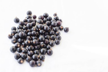 Fresh black berries with water drops closeup. Blackcurrants isolated on a white background. Black currant with copy space for text. Currant organic berries harvest - healthy eating and food concept
