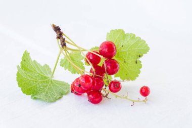 Sprig of red currant with leaves on a white background. Fresh ripe red currant on a branch. Currant organic berries harvest - healthy eating and food concept